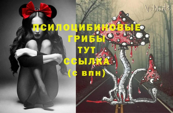 мет Михайлов