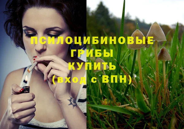 мет Михайлов