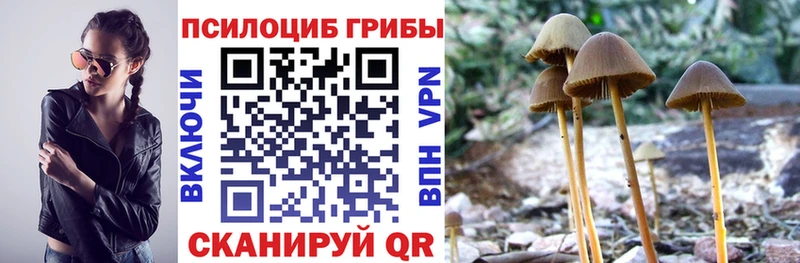 Псилоцибиновые грибы Magic Shrooms наркошоп Оса